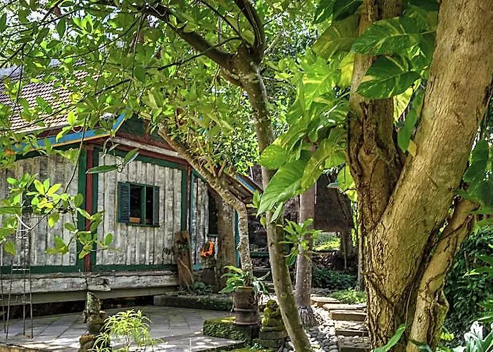 Taman Nauli Boutique