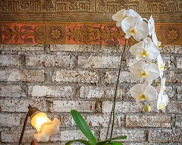 فندق Taman Nauli Boutique