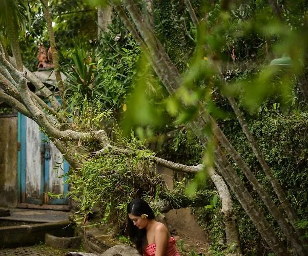 Taman Nauli Boutique فندق